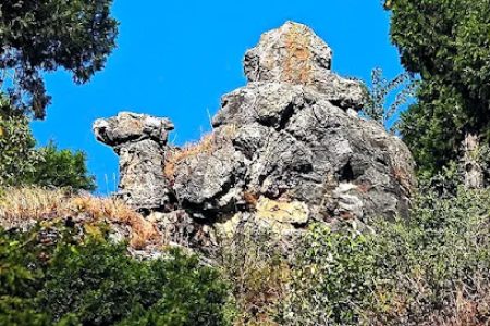 Camels-Back-Road-Mussoorie-Uttarakhand