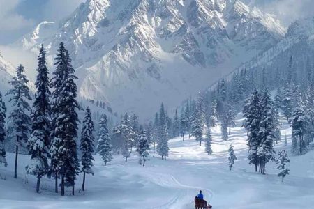 Wintry-White-Experience-in-Kashmir