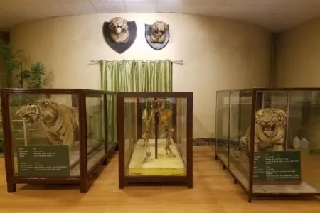 image8-45-783x481