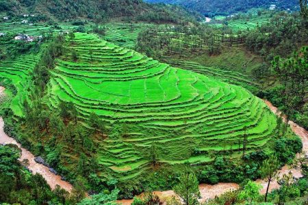 kausani-the-mini-switzerland-of-india