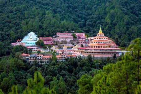 m_Almora_destination_image_2025jan_2_l_768_1152