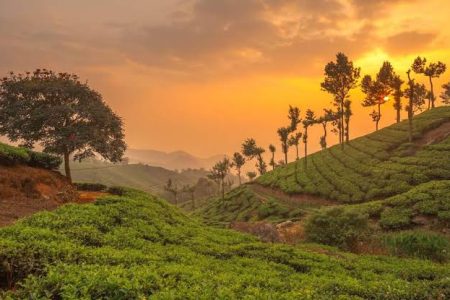 munnar